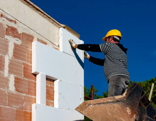 Best Cellulose Insulation in Laguna Niguel, CA