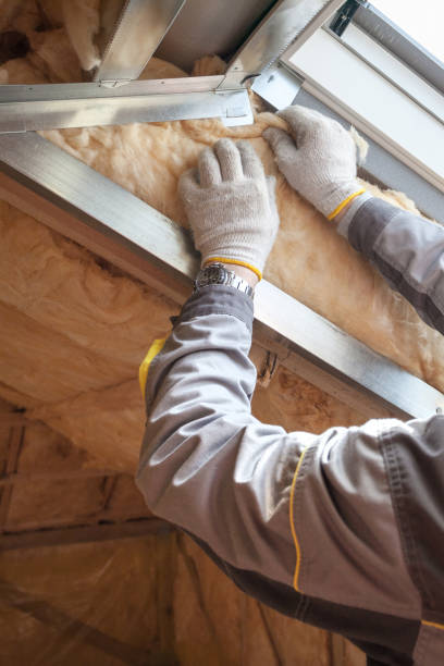 Best Insulation for Specific Applications in Laguna Niguel, CA