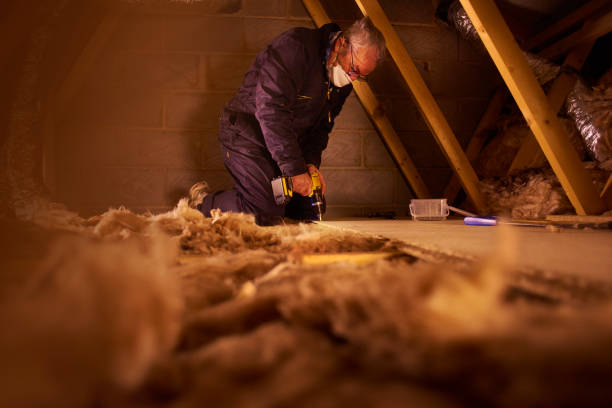 Best Specialized Insulation Services in Laguna Niguel, CA