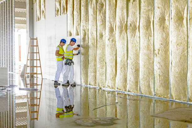 Best Blown-in Insulation in Laguna Niguel, CA